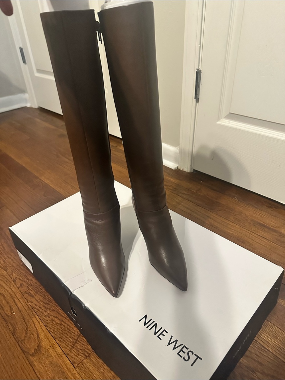 Nine West Women's Tall Pointed-Toe Leather Boots in Dark Brown